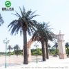 園林綠化新趨勢(shì) 模擬玻璃鋼海藻樹(shù)、大型人造椰子樹(shù)與室外假海棗樹(shù)的應(yīng)用與森啓工藝品廠景觀施工