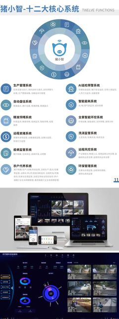 走進軟三·數智企業 廈門工業軟件、智慧養豬、人工智能的頭雁企業探秘